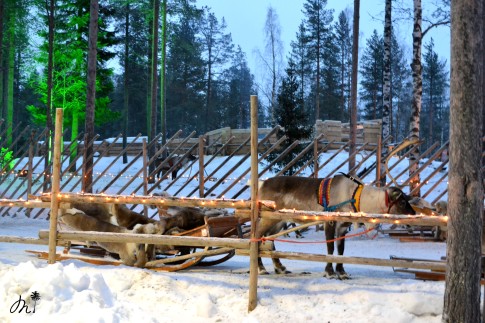 Village du Père Noël - Rovaniemi